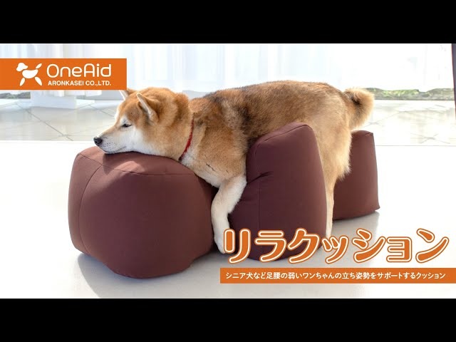 リラクッション