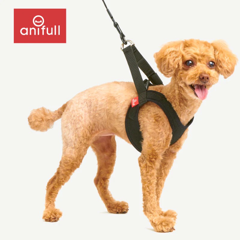 気管にやさしいハーレスト