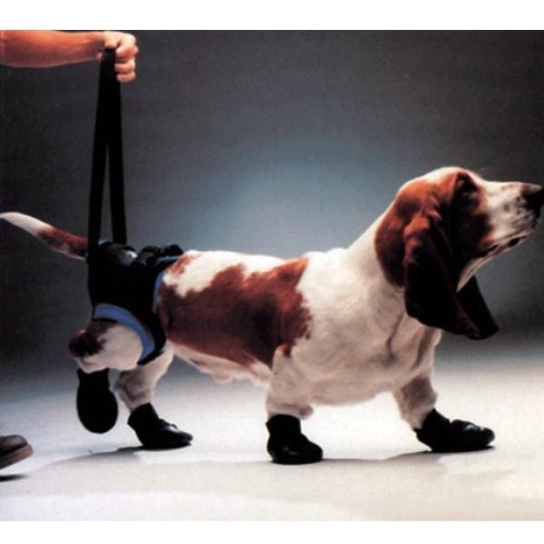 ウォークアバウト　ハーネス（後部）