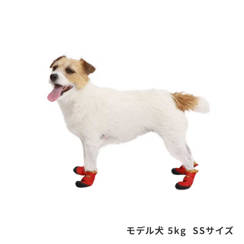 ゼットストップベルトシューズ