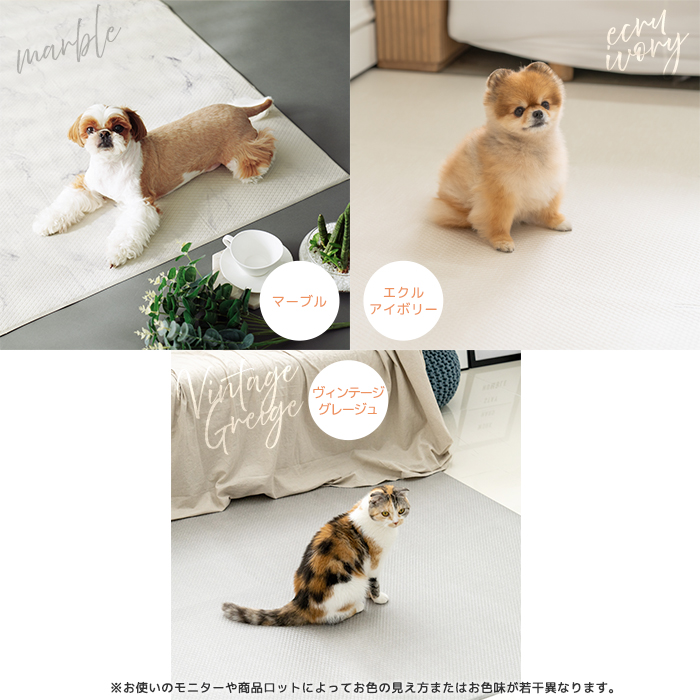 4色柄の写真
